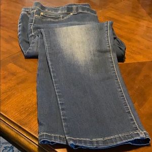 Ariya distressed denim jeans plus size 24